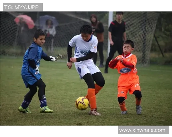 新苗足球：培养未来之星助力青少年足球梦想的成长之路